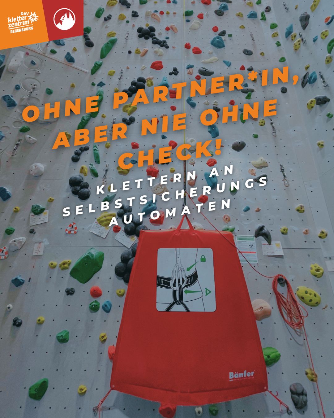 Autobelay 1